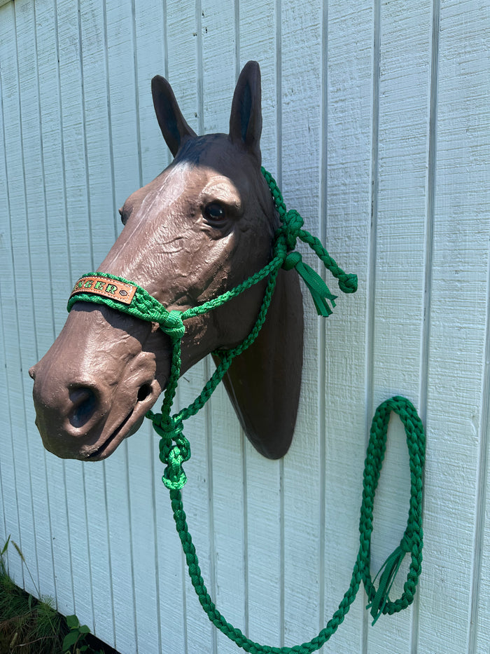 Personalized Kelley Green Braided mule tape horse halter with lead