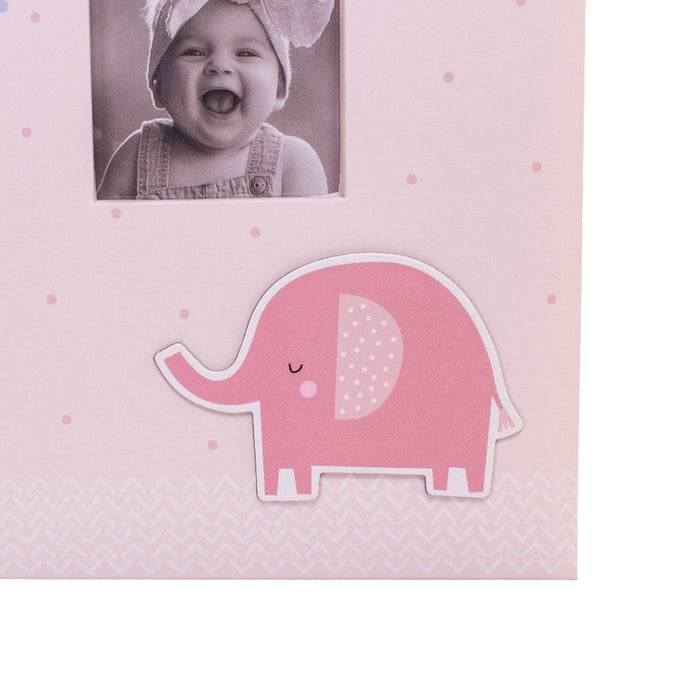Baby Animals Series Photo Albums