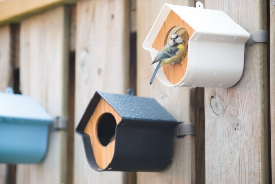 Bird Feeder / House