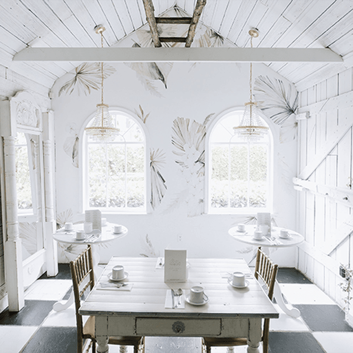 Bohemian Palm Wall Decals