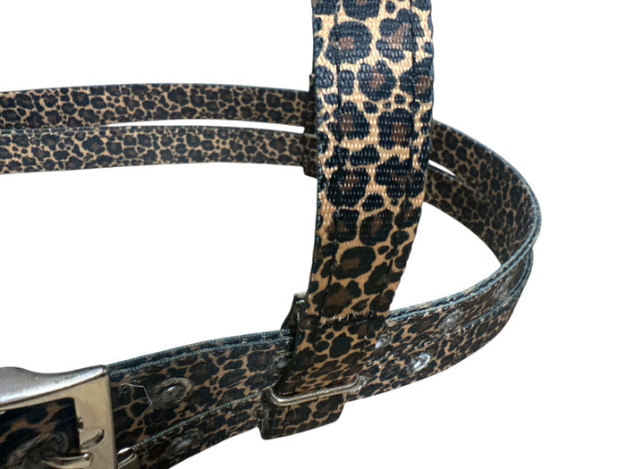 Browband Headstall cheetah print with horse size
