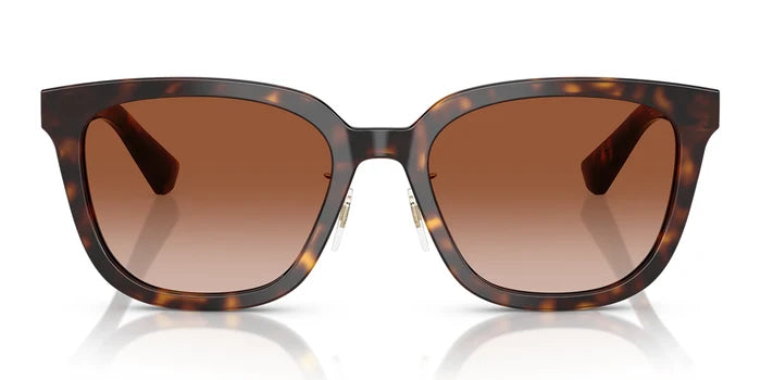 Tortoise / Brown Gradient / XL