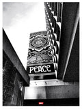 Covert to Overt: Peace Tree