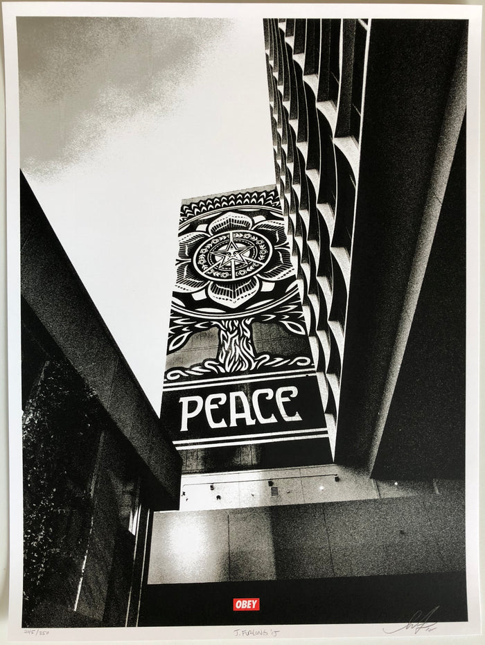 Covert to Overt: Peace Tree