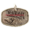 CSDOG 110