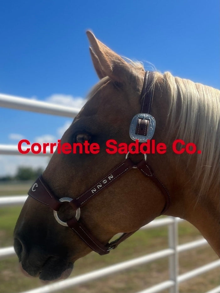 CSHALTER 100A Bronc Halter Lettered