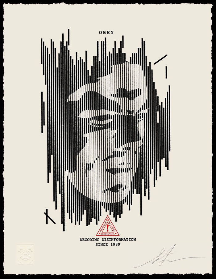 Decoding Disinformation - Letterpress