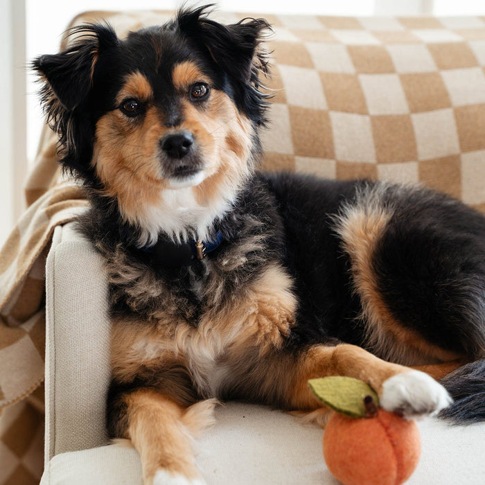 MODERNBEAST Pet Doggy Toy Peach