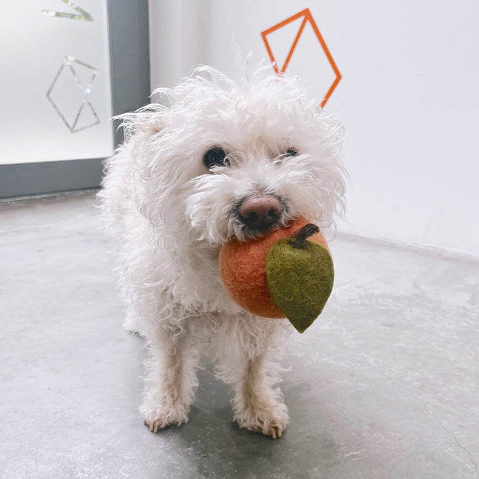 MODERNBEAST Pet Doggy Toy Peach