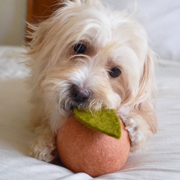 MODERNBEAST Pet Doggy Toy Peach