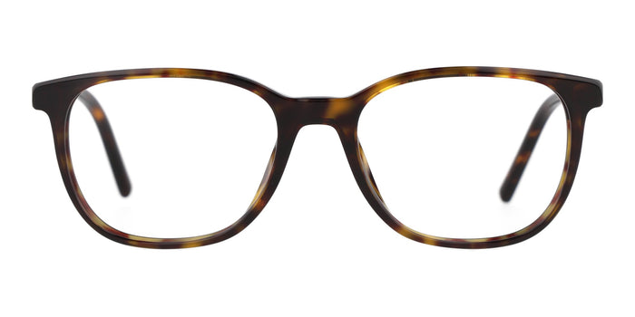 Dolce & Gabbana DG3426-Tortoise