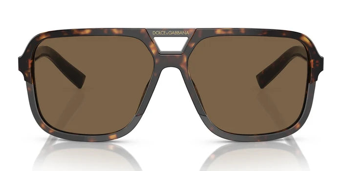 Tortoise / Brown Gradient / M