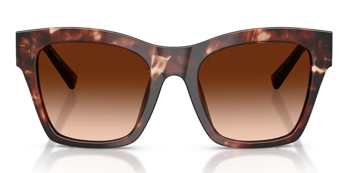 Tortoise / Brown Gradient / L