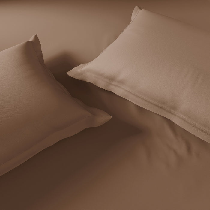 Essentials 100% Cotton Fitted King Bedsheet, 170 TC, Solid, Dark Brown
