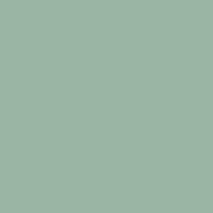 Essentials 100% Cotton Fitted King Bedsheet, 170 TC, Solid, Light Green