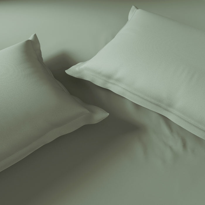 Essentials 100% Cotton Fitted Queen Bedsheet, 170 TC, Solid, Green
