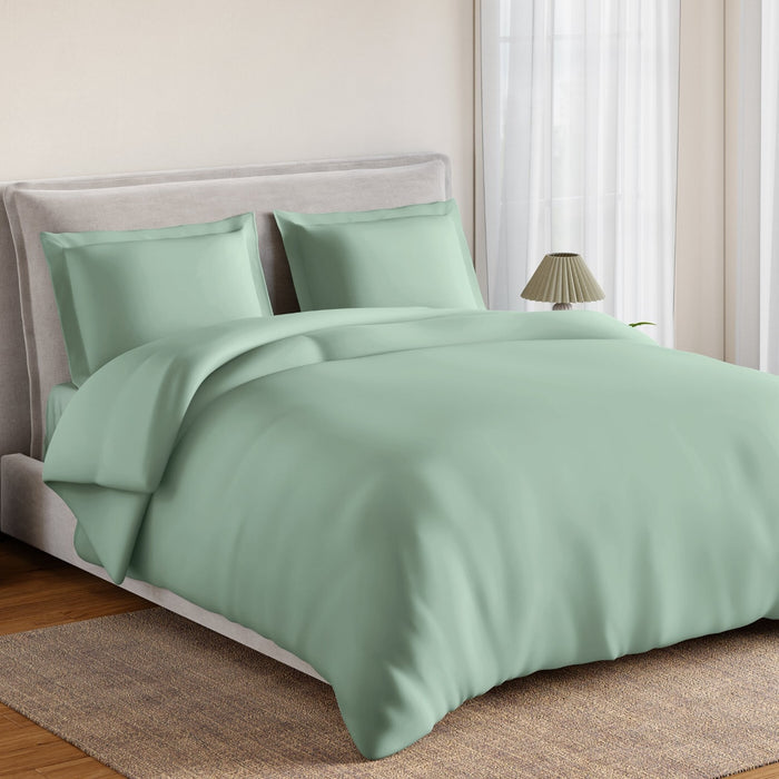 Essentials 100% Cotton Fitted Queen Bedsheet, 170 TC, Solid, Light Green