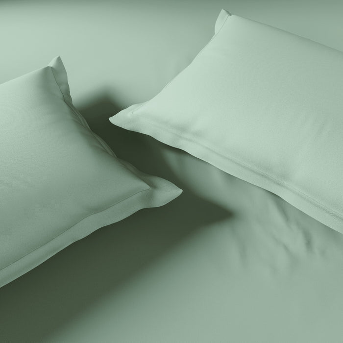 Essentials 100% Cotton Fitted Queen Bedsheet, 170 TC, Solid, Light Green