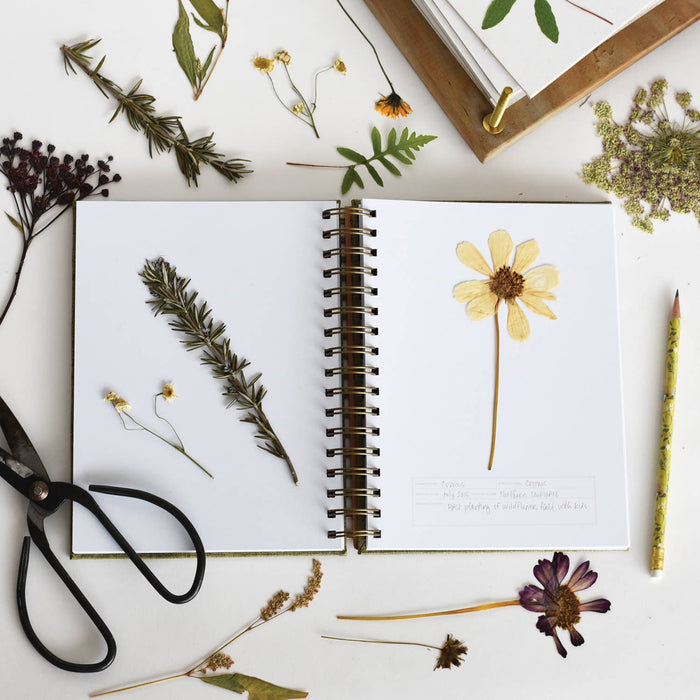 June & December Books Fern Herbarium Journal