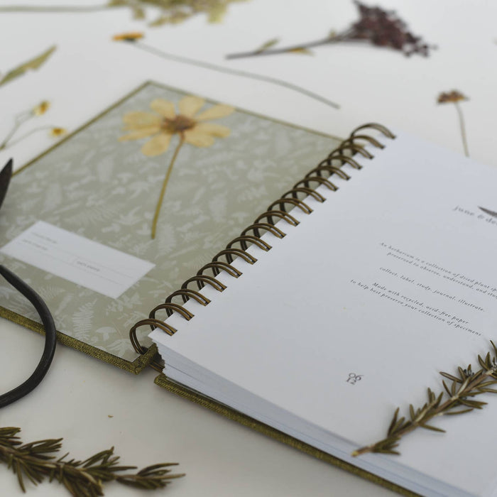 June & December Books Fern Herbarium Journal