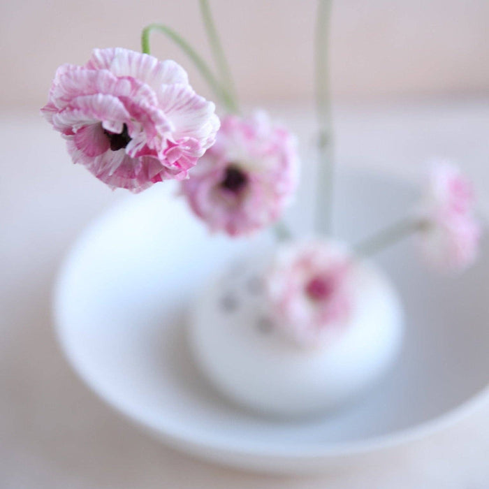 The Floral Society SHOP Flower Frog Bowl Vase