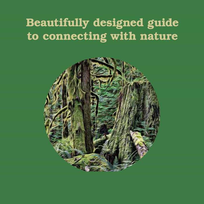 Chronicle Books Book Forest School for Grown-Ups