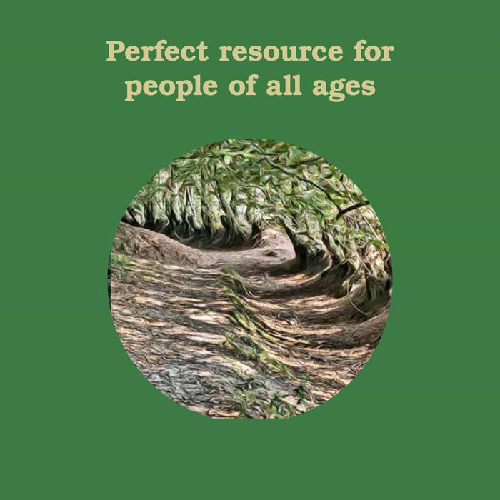 Chronicle Books Book Forest School for Grown-Ups