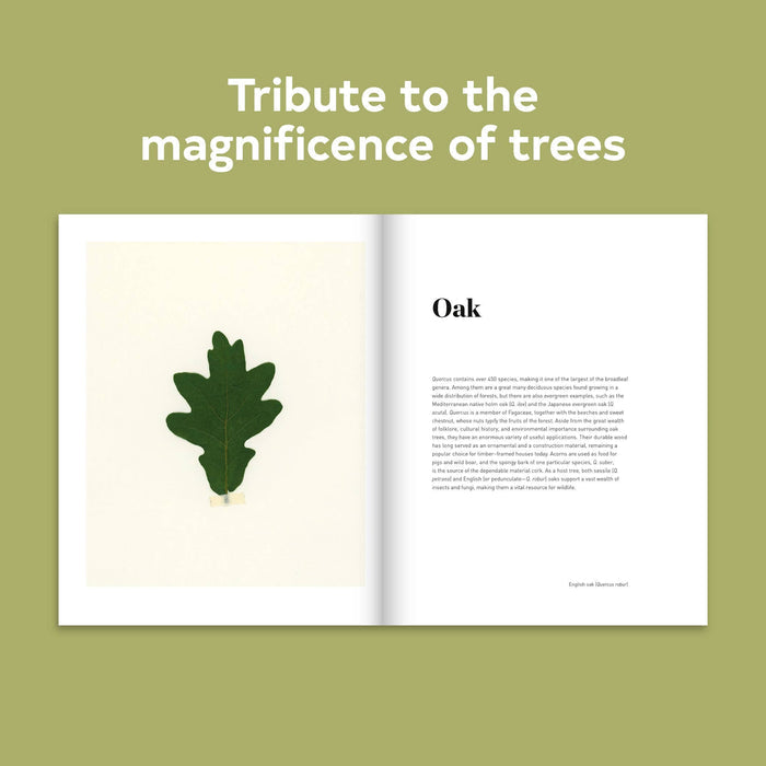 Chronicle Books Book Forest
