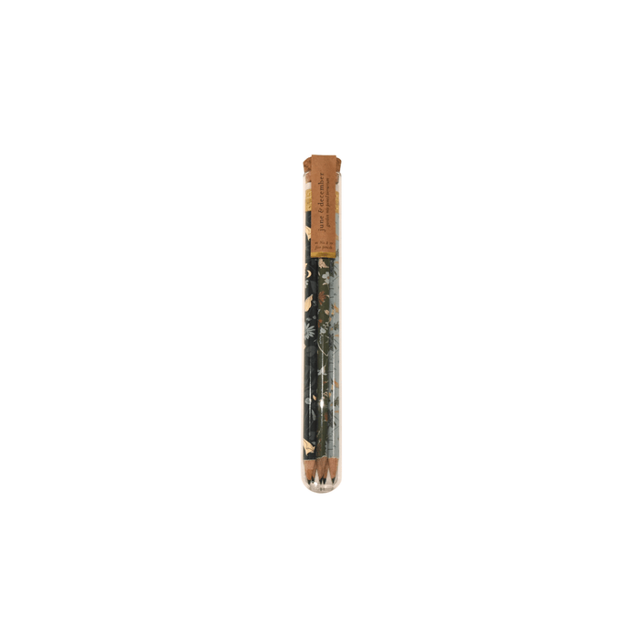 June & December SHOP Garden Mix Pencil Set & Terrarium