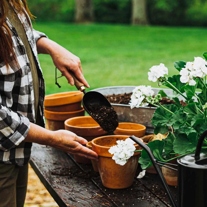 Barebones Garden Garden Scoop