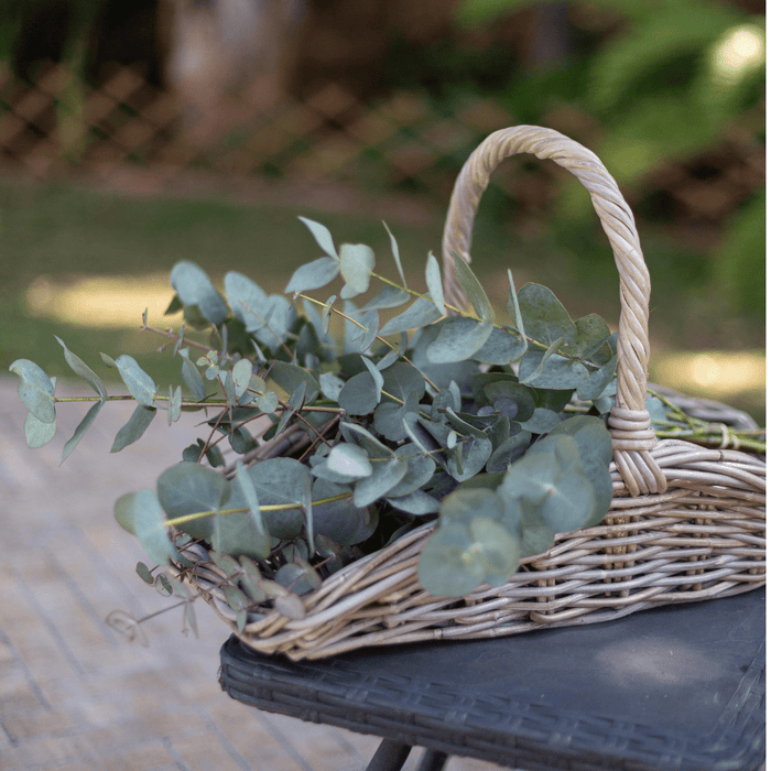 Basketly One Size Basketly - Garden Trug Basket