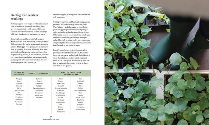 HarperCollins Book Gardening for Everyone: Julia Watkins