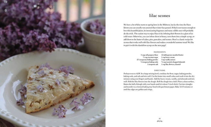 HarperCollins Book Gardening for Everyone: Julia Watkins