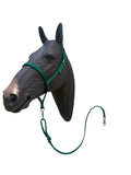 Green nylon tie down and tie down strap