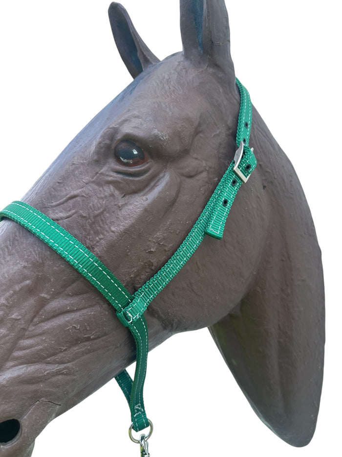 Green nylon tie down and tie down strap