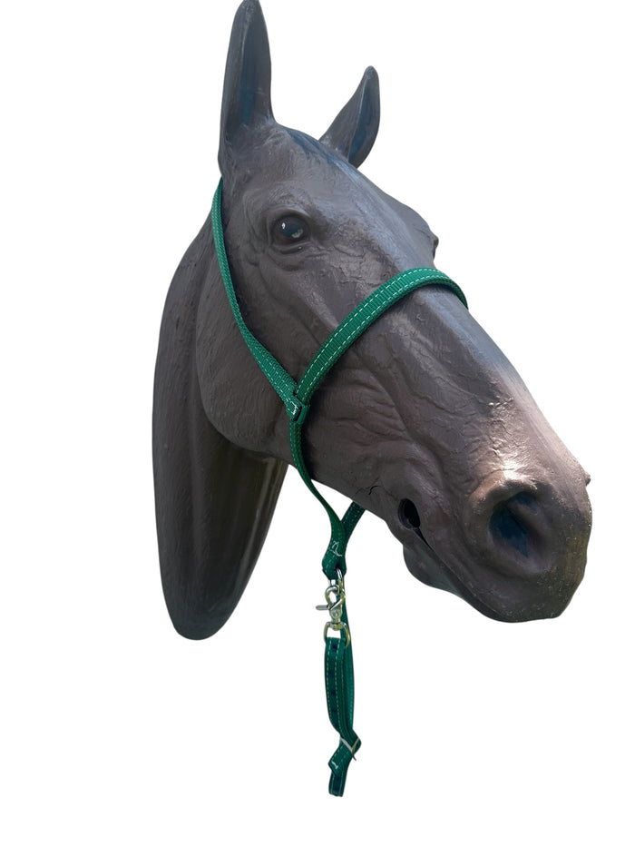 Green nylon tie down and tie down strap