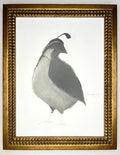 Grey and White Quail