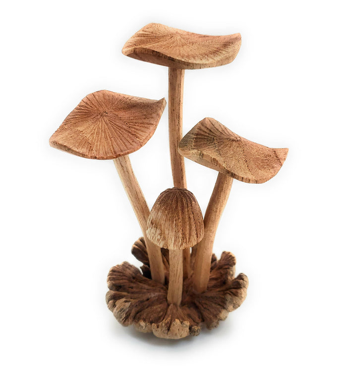 A Lost Art A Lost Art - Hand Carved Medium Wooden Mushroom