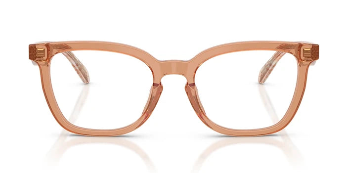 Brown / S49