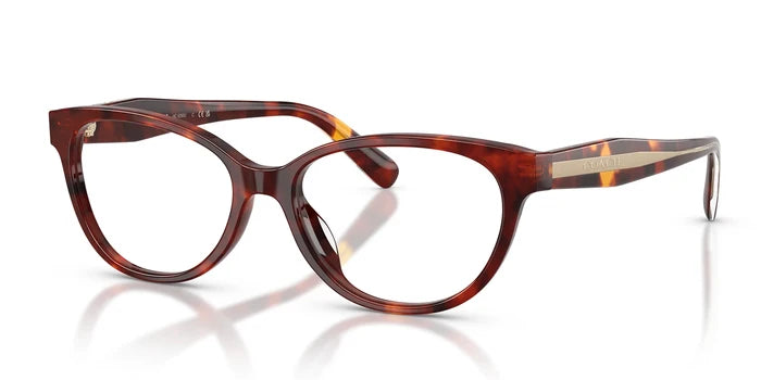 COACH HC6293-Tortoise