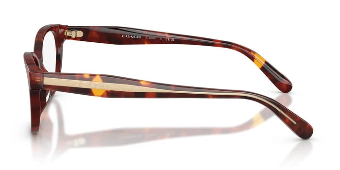 COACH HC6293-Tortoise