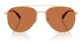 COACH HC7190-Arista Gold / Light brown