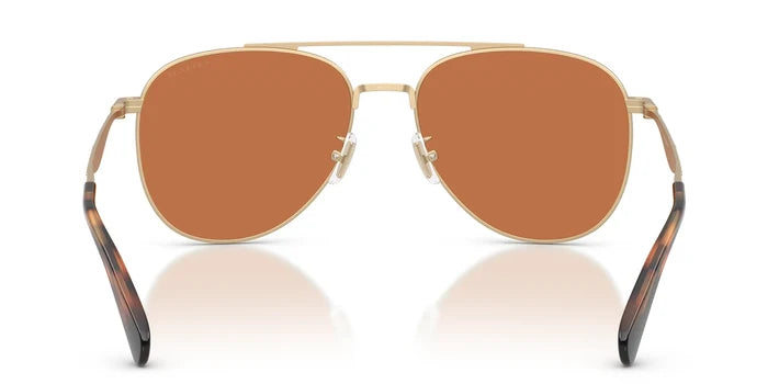 COACH HC7190-Arista Gold / Light brown
