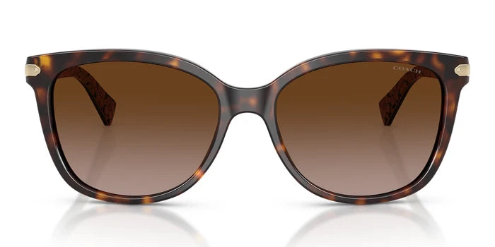 COACH HC8132-Tortoise / Brown Gradient