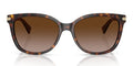 COACH HC8132-Tortoise / Brown Gradient