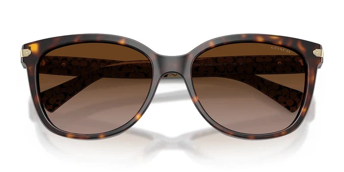 COACH HC8132-Tortoise / Brown Gradient