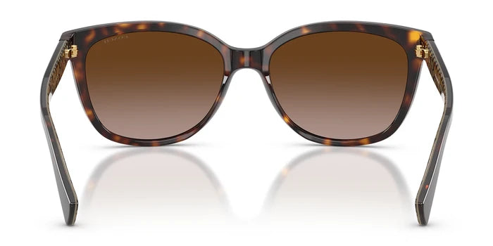 COACH HC8132-Tortoise / Brown Gradient
