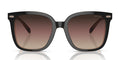 COACH HC8381-Black / Violet
