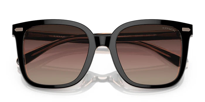 COACH HC8381-Black / Violet