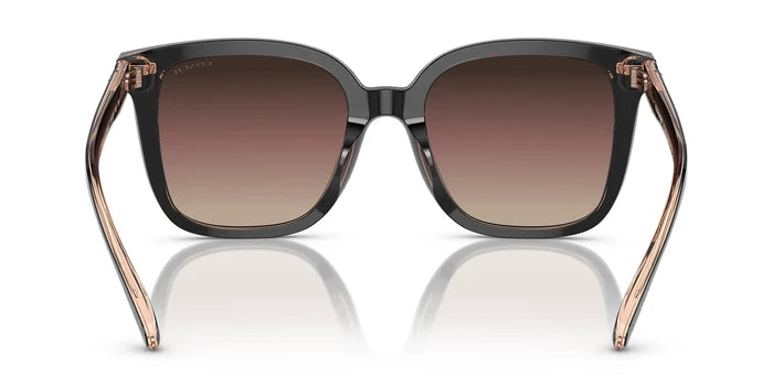 COACH HC8381-Black / Violet